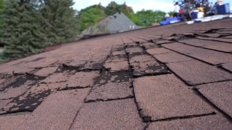 Reliable Morgan, UT Roofing Services Solutions
