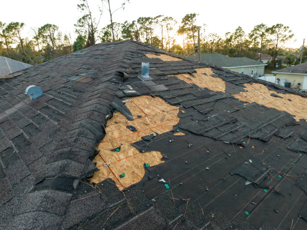 Best Roof Leak Repair  in Morgan, UT